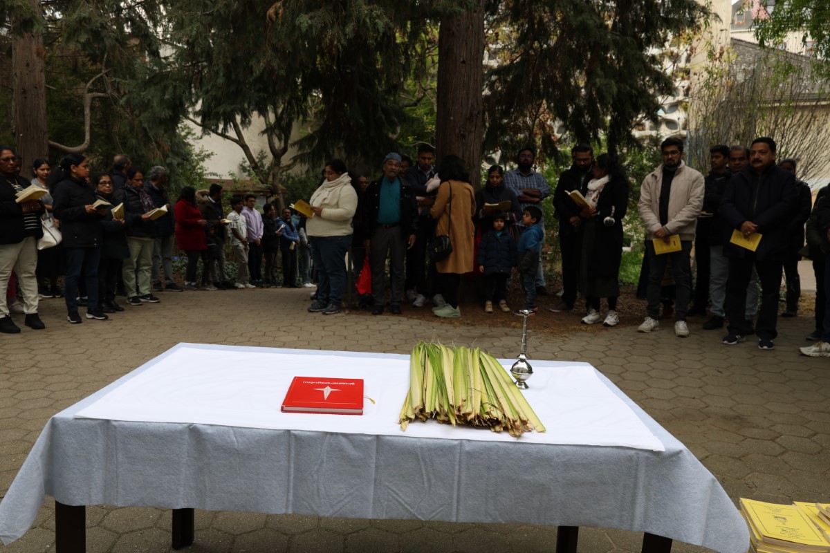 Palm Sunday 2025 (Hero Image)